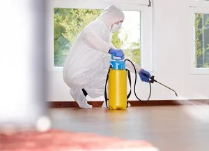 борба с гризачи и гризачи какво е, средствата и методите за лечение