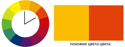 Колелото на цвят