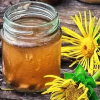 Inula описание терапевтични свойства и противопоказания