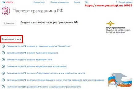 Документи, които трябва да заменят паспорта на Руската федерация