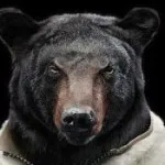 Бекграунд, шапки, аватари за Twitter