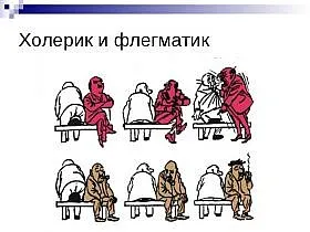 Флегматичен - характеристика на мъж, жена, дете