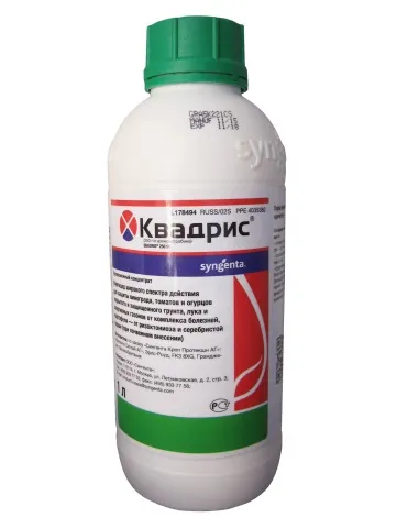 Края на бич на домати като бой