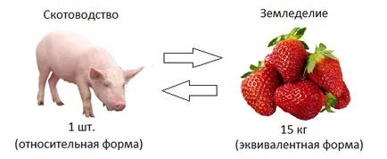Еволюция на парите - като форма на стойност успя помежду си в хода на историческото развитие, обмен