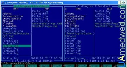 Далеч мениджър - File Manager
