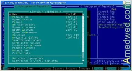 Далеч мениджър - File Manager