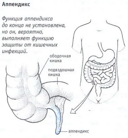 Phlegmonous апендицит лечение, диета след операция, усложнения и последствия