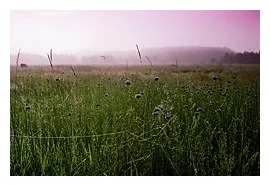 Photojournal НО, филтри, Dmitriy Katkov - градиент филтри