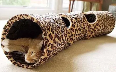 Game Тунел за котки