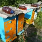 Осъществяване хранилки за птици за пчелите със собствените си ръце