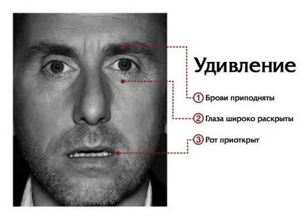 Как да четем мислите на хората да разберат мислите и чувствата на изражението на лицето