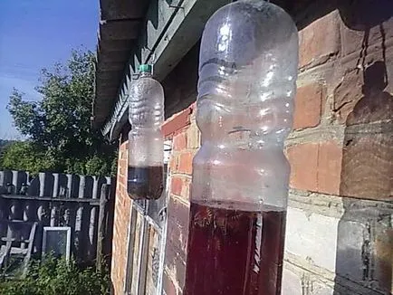 Осъществяване хранилки за птици за пчелите със собствените си ръце