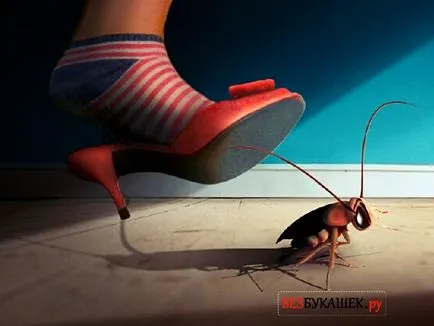 Ето защо има хлебарки в апартамента на основните причини за