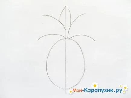 Как да се направи етапи молив ананас