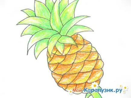 Как да се направи етапи молив ананас