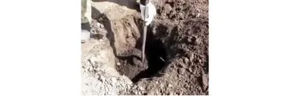 Как да се почисти коритото на депозит, на правилата за почистване на съдове във всички (тиган) Как да се почисти коритото на депозит, на правилата за почистване на съдове с различна