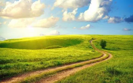 Как да се определи какви са вашите tsvetotip tsvetotip