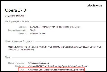 Как да изчистите кеша в операта - 2 прости и лесни начини