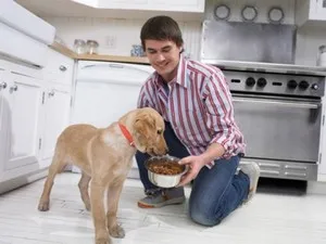 Коя диета кученца кокери