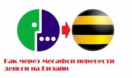 Как да прехвърля пари с мегафон на Beeline - Три лесни начина