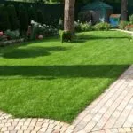 Как да си направим морава в страната (41 снимки) с ръцете си правилно това, което е по-добре да се растение и как да се организира, (даде) Как да си направим морава в страната (41 снимки) с ръцете си правилно това, което е по-добре да се растение и как да се украсяват,