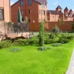 Как да си направим морава в страната (41 снимки) с ръцете си правилно това, което е по-добре да се растение и как да се организира, (снимка) Как да си направим морава в страната (41 снимки) с ръцете си правилно това, което е по-добре да се растение и как да се украсяват,