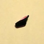 Как kanzashi свои ръце - майсторски клас за начинаещи