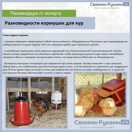 Как да си направим птица подавач за пилета с ръцете си - най-добрите 10 възможности! (Им) Как да си направим птица подавач за пилета с ръцете си - най-добрите 10 възможности!