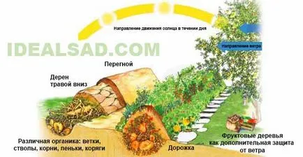 Как да си направим високи била 100 добри идеи