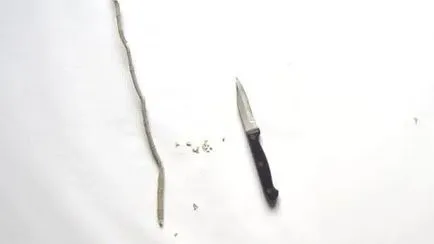 Как да си направим магическа пръчка