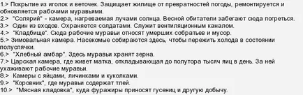 Тъй като има гнезда, където мравките идват и да започне изграждането му