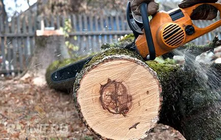 Как да се отсече едно дърво по силата на закона и без наказание