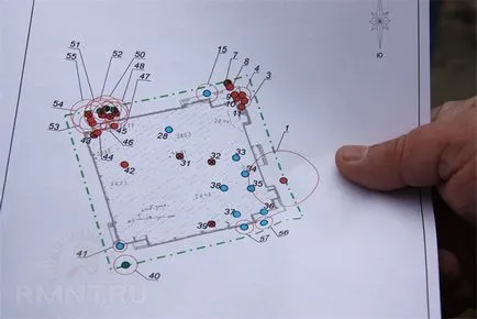 Как да се отсече едно дърво по силата на закона и без наказание