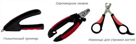 Как да се намали кучешки нокти правилните нокти подстригване и се грижи за тях, машинки за кучета