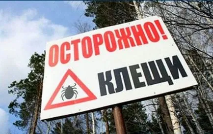 Как да се предпазите от кърлежи в природата бележка - статия за - PDA версия
