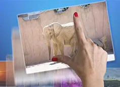 Jpg Как да се намали размера на файла, без да губи качество онлайн и в Photoshop, yarabotayudoma
