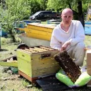 Какви са ползите за растенията пчелите събират нектар