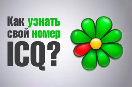 Откъде знаеш, че моят номер ICQ, където само мейл