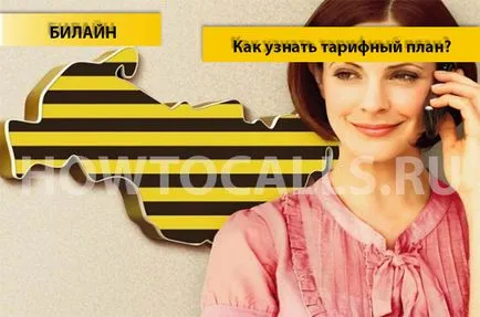 Как да разберете вашия тарифен план Beeline - 3 начина