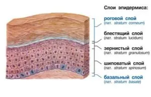 Как да изберете устройството за ултразвуково почистване на лицето