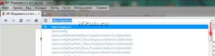 Как да се върнете стрелката в адресната лента