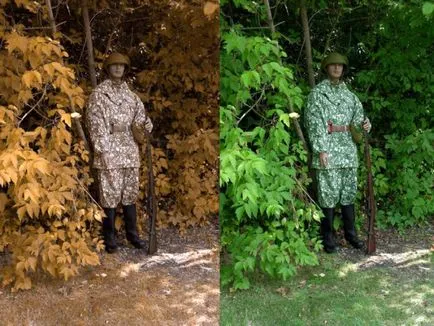 Как да видите света далтонист около нас, което цветове не се прави разлика на далтонисти