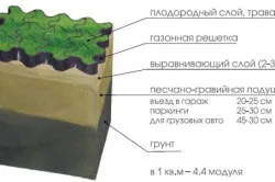 Как да расте трева подготовка на почвата морава, семена за посев, грижи