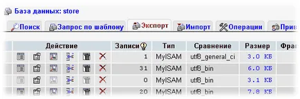 Как да се публикува на сайта на хостинг
