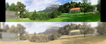 Как да видите котките и котки са нашият свят, хората в тъмното