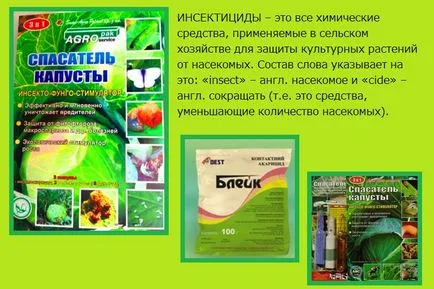 Как да расте карфиол в градината със собствените си ръце - инструкции стъпка по стъпка!