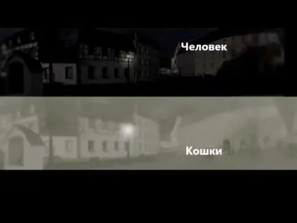 Как да видите котката -Може котките виждат в тъмното