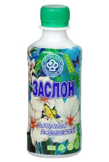 Как да растат домати в оранжерия - инструкции стъпка по стъпка!