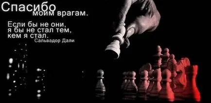 смисъла на живота снимки