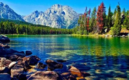 Какво мечта тълкуване езеро сън, с чиста вода, да плува, да се види в гората, да плувате, замразени,